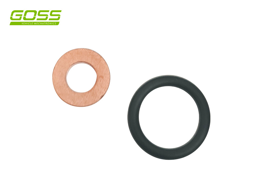 Diesel Washer Kit DWK553 - Goss