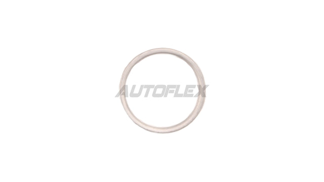 Exhaust Flange EFG602 - AUTOFLEX