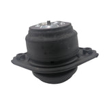 Front Engine Mount Left Or Right Fit For Mercedes Benz GL-Class ML-Class R-Class 2512402917 EM-BEN005 - Machter
