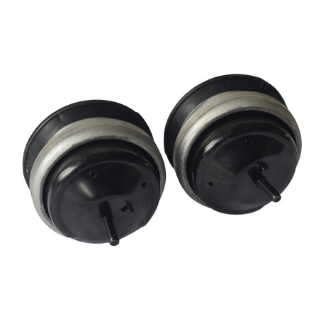 2 x Engine Mounts Fit For FORD Territory SX SY 2004-2011 4.0 AWD RWD Barra190 Auto - Machter