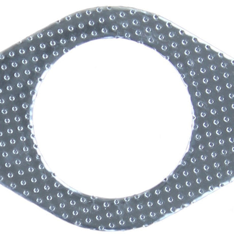 Exhaust Flange FORD MAZDA AJ V6 DOHC 24V EPG050 - Permaseal