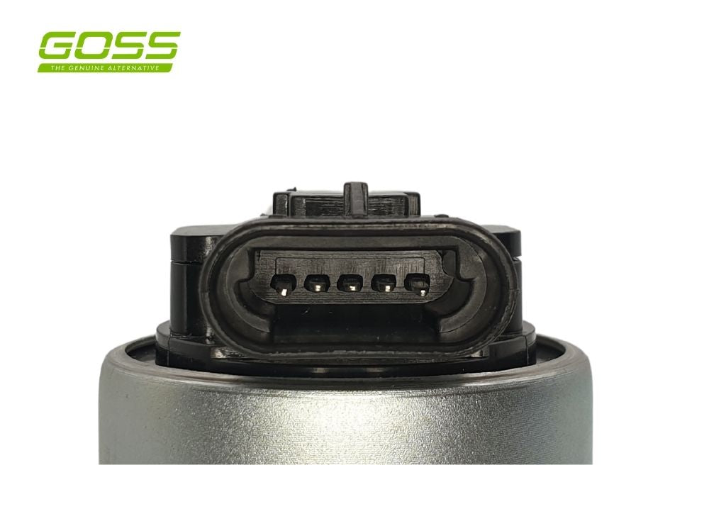 EGR Valve Holden EV103 - Goss