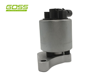 EGR Valve Holden EV103 - Goss