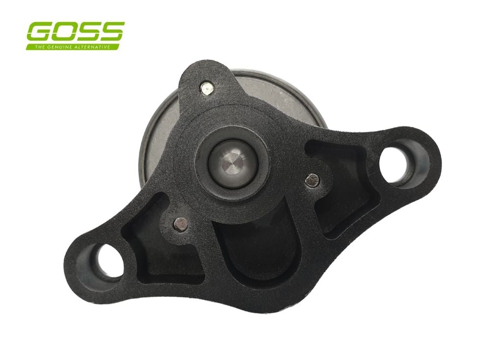 EGR Valve Holden EV103 - Goss