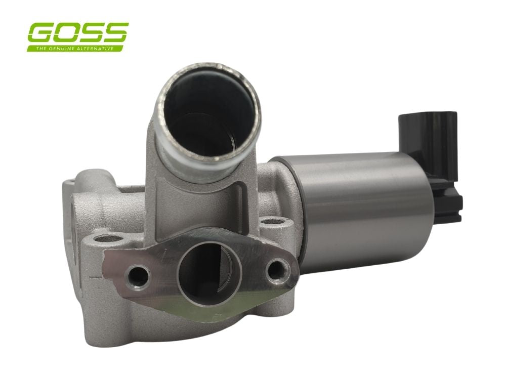 EGR Valve Holden EV105 - Goss