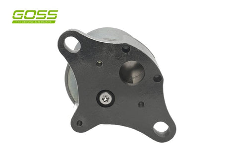 EGR Valve Holden EV106 - Goss
