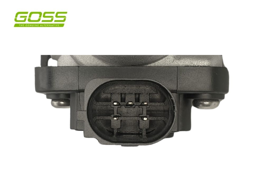 EGR Valve Hyundai/Kia EV116 - Goss