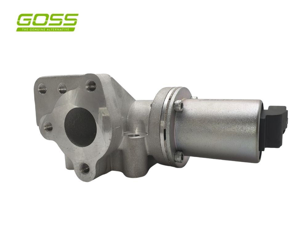 EGR Valve Hyundai/Kia EV117 - Goss