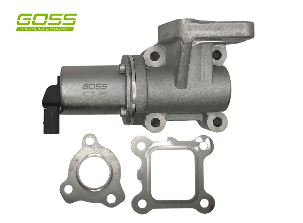 EGR Valve Hyundai/Kia EV117 - Goss