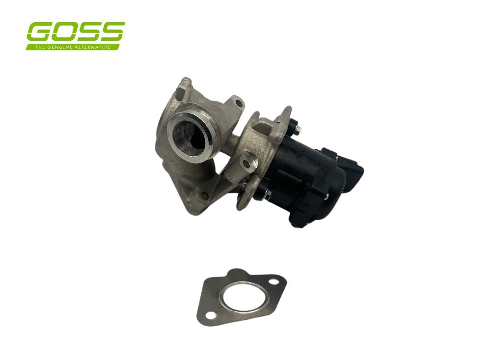 EGR Valve Citroen/Mini/Peugeot EV123 - Goss