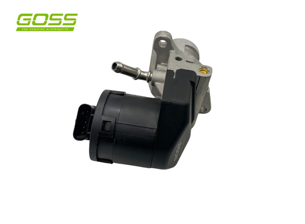 EGR Valve Bmw EV160 - Goss