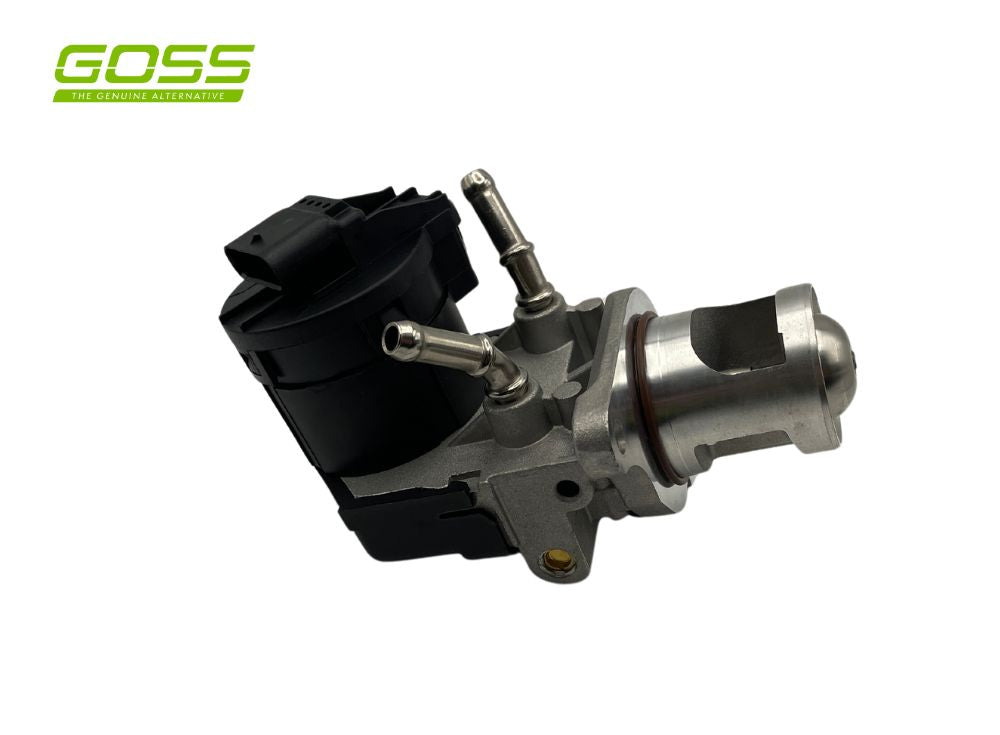 EGR Valve Bmw EV160 - Goss