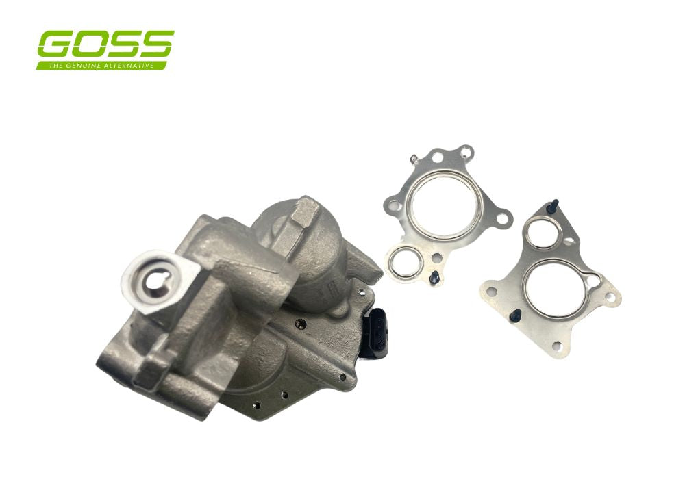 EGR Valve Mercedes-Benz EV165 - Goss