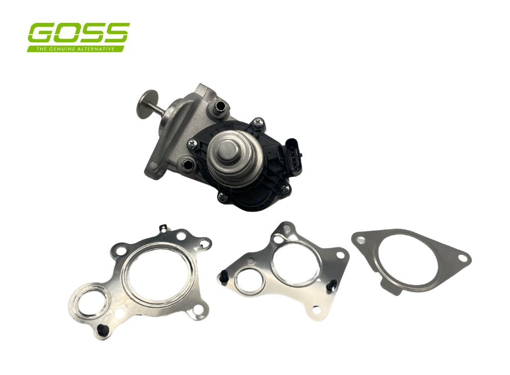 EGR Valve Bmw Mini EV166 - Goss