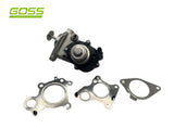 EGR Valve Bmw Mini EV166 - Goss