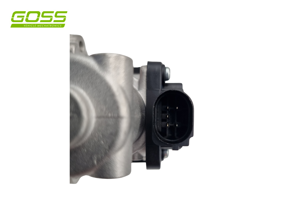EGR Valve Hyundai/Kia EV174 - Goss