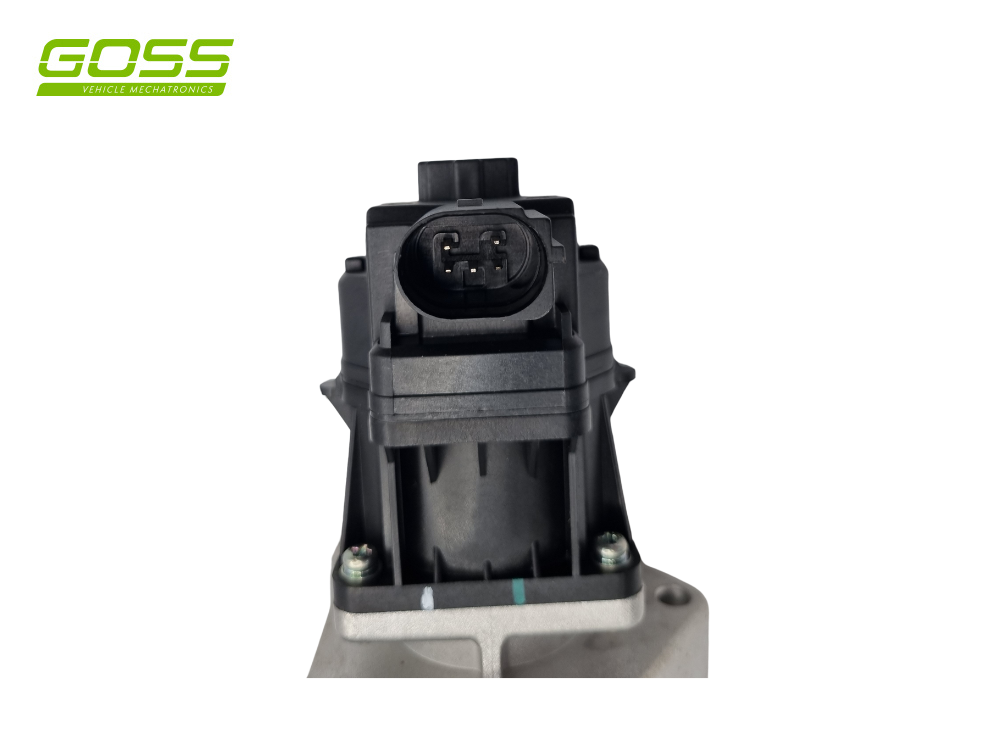EGR Valve Holden EV176 - Goss
