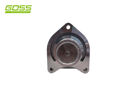 EGR Valve Holden EV176 - Goss