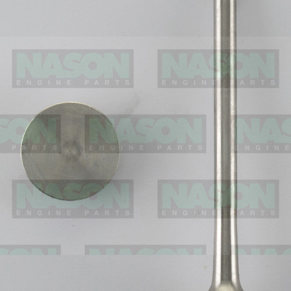 Valve Exhaust RANGE ROVER VM81A TURBO DIE EX0101 - NASON