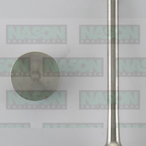 Valve Exhaust RANGE ROVER VM81A TURBO DIE EX0101 - NASON