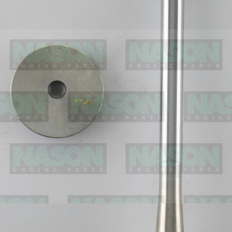 Valve Exhaust SEAT IBIZA GTi ABF 1984 EX0834 - Nason