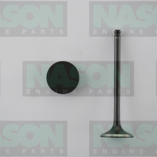 Valve Exhaust TOY L/CRUISER 2UZ 3UZFE 100SER EX1298 - NASON
