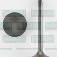 Valve Exhaust JAGUAR 3.4 3.8 4.2 EX1571 - NASON