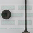 Valve Exhaust HONDA H22A1 H22A4 DOHC 4V EX1642 - NASON