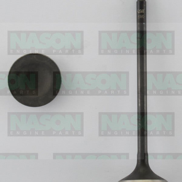 Valve Exhaust HONDA H22A1 H22A4 DOHC 4V EX1642 - NASON