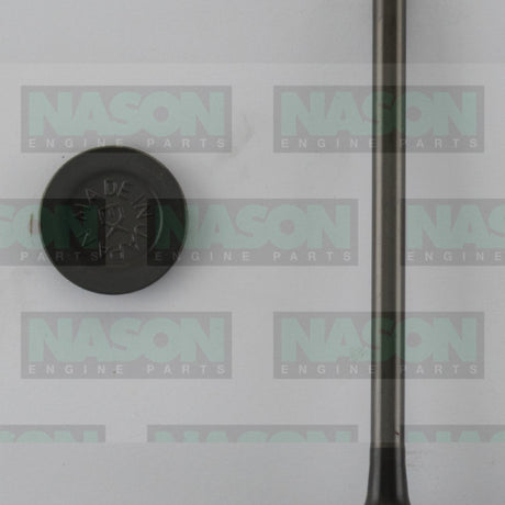 Valve Exhaust MAZDA B3 SOHC 8V EX1666 - Nason