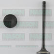 Valve Exhaust HONDA D15Z VTEC EX1834 - NASON