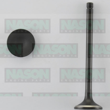 Valve Exhaust HONDA D15Z VTEC EX1834 - Nason