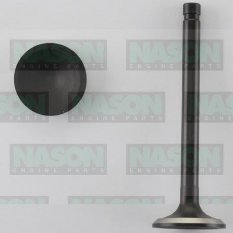 Valve Exhaust FORD 6 CONV EX1884 - Nason
