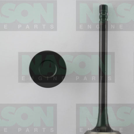 Valve Exhaust HOLDEN V8 253 308 1.479" HD EX1911 - Nason
