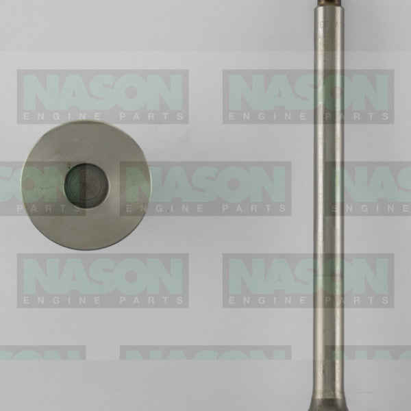 Valve Exhaust NISSAN P/P40 DISCONT'D EX1995 - NASON