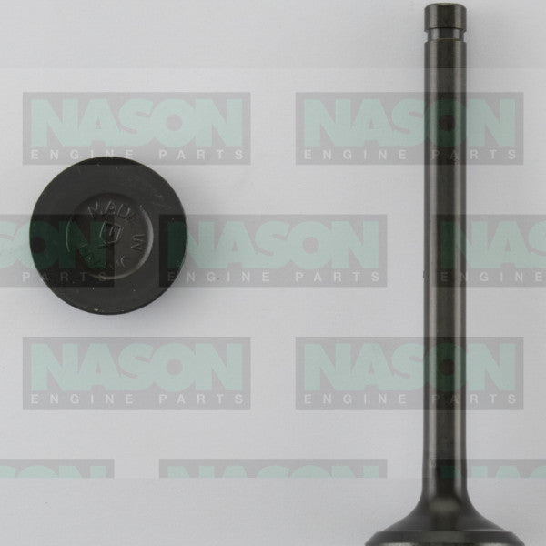 Valve Exhaust NISSAN H20 EX2005 - NASON
