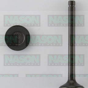 Valve Exhaust NISSAN H20 EX2005 - NASON