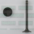 Valve Exhaust NISSAN H20 EX2005ST - NASON