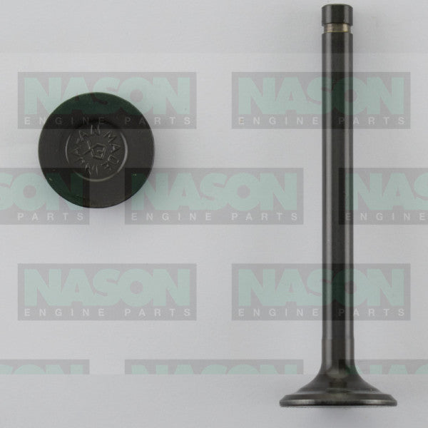 Valve Exhaust NISSAN H20 EX2005ST - NASON