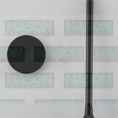 Valve Exhaust FORD L3 LF DOHC 16V EX2048 - Nason