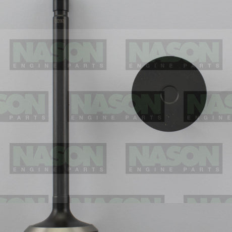 Valve Exhaust FORD 302/351 WINDSOR EX2061 - Nason