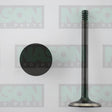 Valve Exhaust FORD 302/351 CLEVELAND 4V EX2069 - NASON