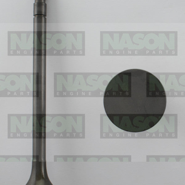 Valve Exhaust TOYOTA D 2D EX2129 - NASON