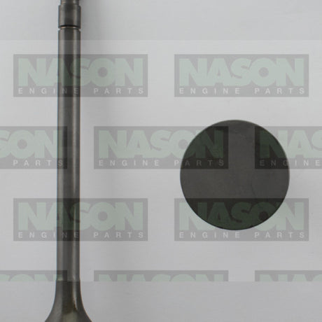 Valve Exhaust TOYOTA D 2D EX2129 - Nason