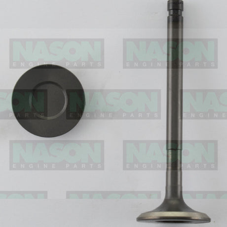 Valve Exhaust TOYOTA 2T 1 GRV DISCONT'D EX2146 - Nason