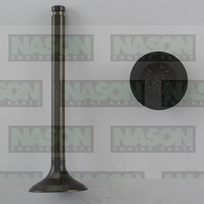 Valve Exhaust HOLDEN ISUZU G161Z G180Z G200Z EX2196 - Nason