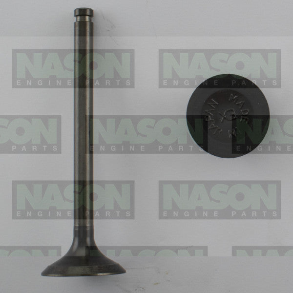 Valve Exhaust HOLDEN ISUZU G161Z G180Z G200Z EX2196 - Nason