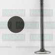 Valve Exhaust HOLDEN V8 4.9 5.0 EFI EX2232 - NASON