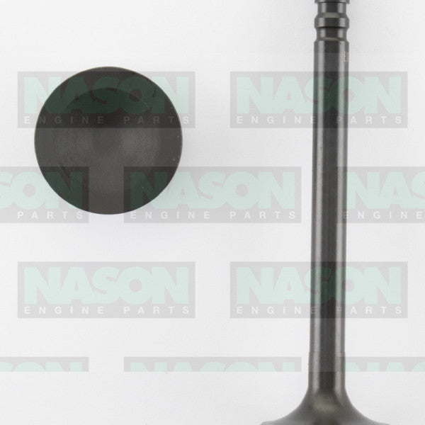 Valve Exhaust HOLDEN 202 6 CYL ENGINE 35.8mm EX2511 - NASON