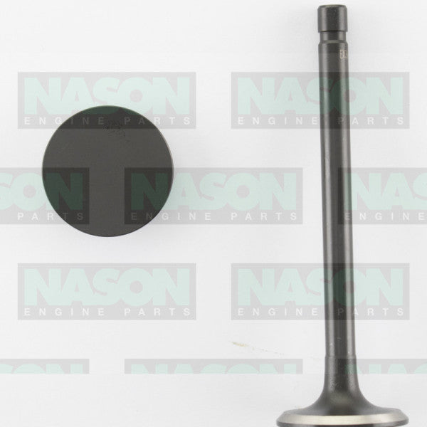Valve Exhaust HOLDEN V6 3.8L VN-VR EX3011 - NASON